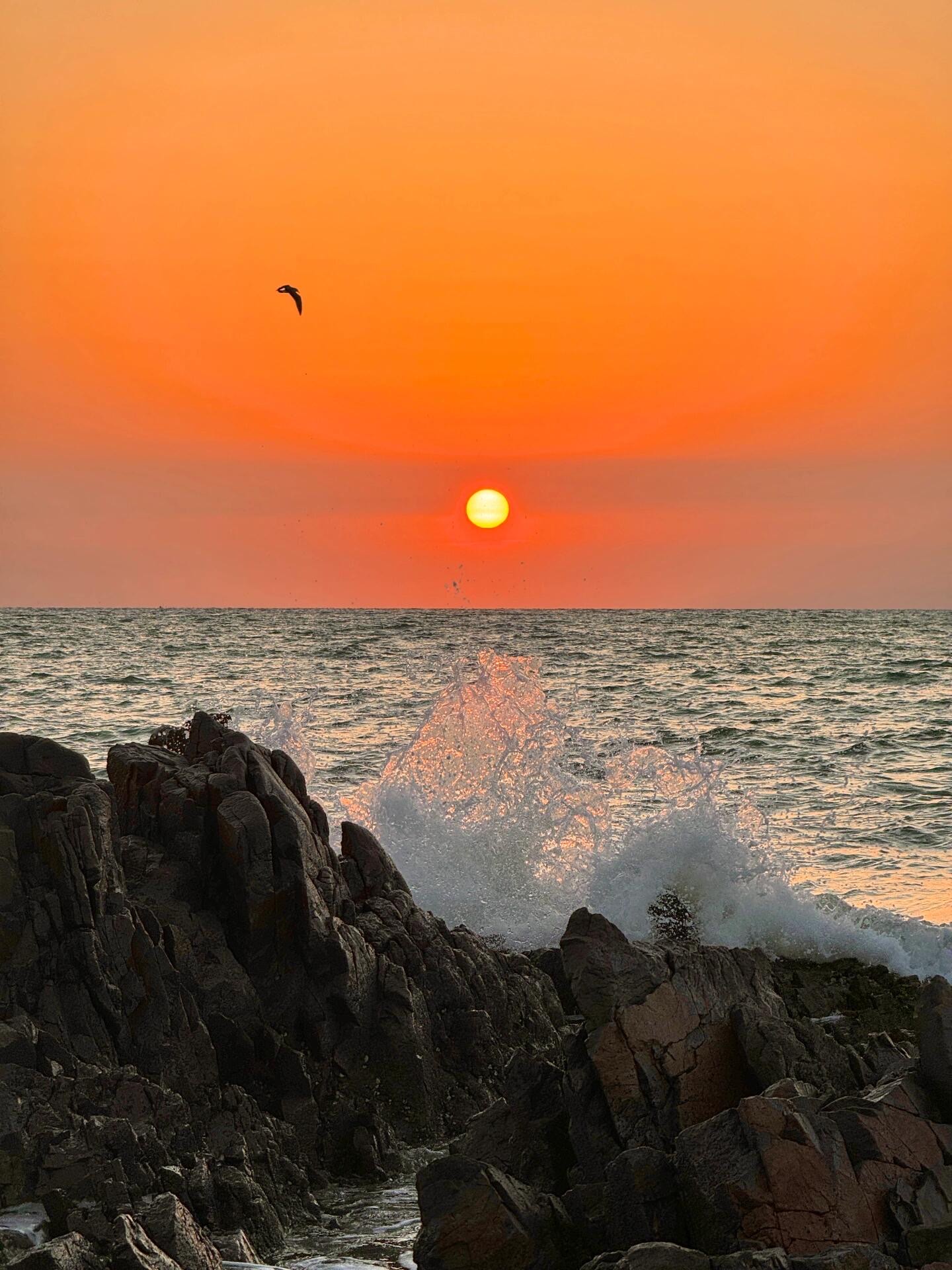 海上日出 壁纸图片