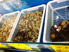 -射阳海鲜城(盐城店)