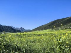 -扁都口生态休闲旅游区