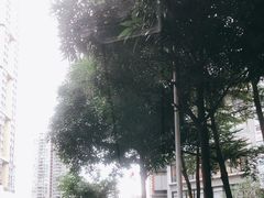 -明谦·Coffee&Cocktail Bar(美您公园店)
