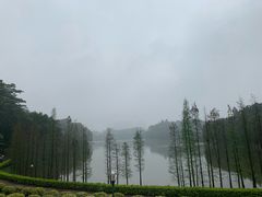 -三水森林公园