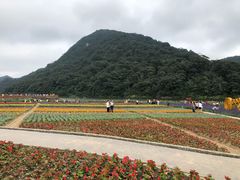 -广州市石门国家森林公园