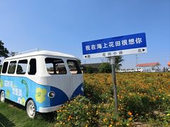 -杭州湾海上花田景区