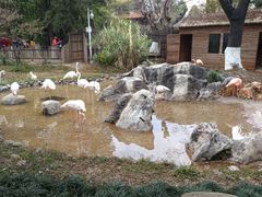 -昆明动物园