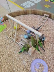 -思诺卡儿童俱乐部(东方广场店)