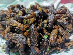 土狗仔-雄仔农家菜馆·特色葱油鸡(六祖店)