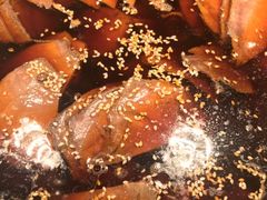 -金海湾自助餐厅(金陵饭店)