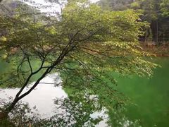 -缙云山景区