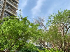 -251#coffee roasters(沿河东路店)