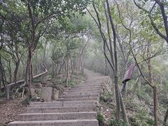 -紫金山山顶公园