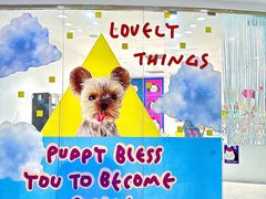 -萌物合辑(新中关购物中心店)