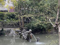 -汇龙潭