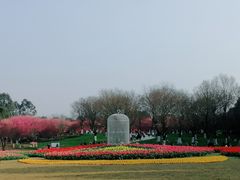 -秀丽东方