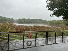 -昆山城市生态森林公园