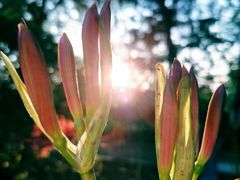 -南京金牛湖风景区