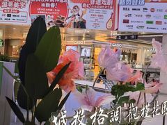 -鹏欣水游城