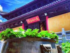 -灵谷景区