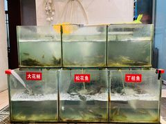 -老船夫石锅苗苗鱼·老字号(三道堰总店)