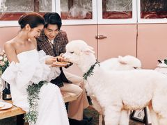 -经典婚纱摄影美学馆·私人定制