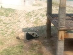 -石家庄极地海洋世界