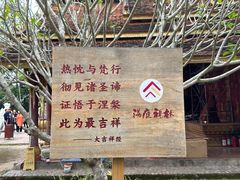 -西双版纳傣族园