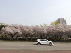 -城市运动公园(未央区)