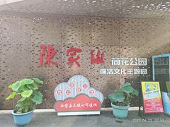 -陈家山荷花公园