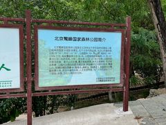 -北京鹫峰国家森林公园