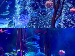 -沈阳海洋探索中心