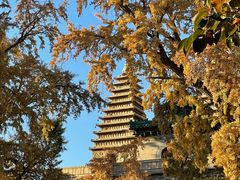 -北京石刻艺术博物馆(五塔寺)