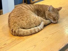 -猫的天空之城概念书店(苏州平江店)