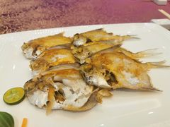 -欢乐海岸美食联盟