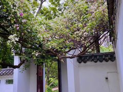 -深圳国际园林花卉博览园