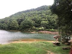 -桃花岭景区