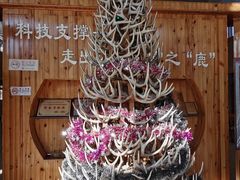 -北京鹿世界主题园