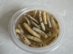 -安海长火土笋冻