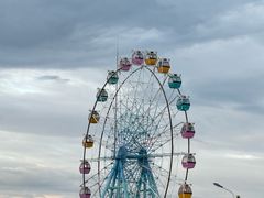 -巨鹏飞梦幻海岸