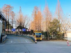 -上海植物园·停车场