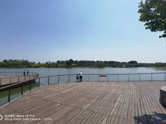 -东郊湿地公园