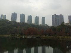 -重庆彩云湖湿地公园