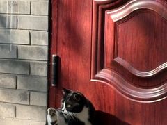 -北京国子监胡同