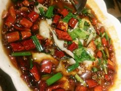 水煮鱼片-老福洲(西洪路店)