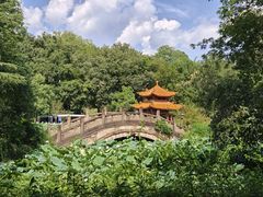 -富乐山