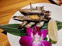 -酒井酱子·深夜食堂(东城汇店)