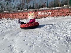 -青龙湖公园
