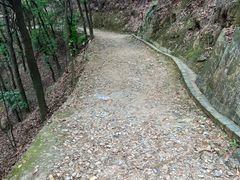 -羚羊峡古栈道森林公园