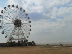 -奉贤海滩
