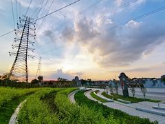 -王借岗森林公园