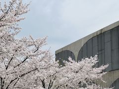 -龙美术馆(西岸馆)