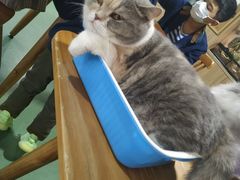 -藦茜花园宠物主题亲子互动体验馆(国顺东路店)